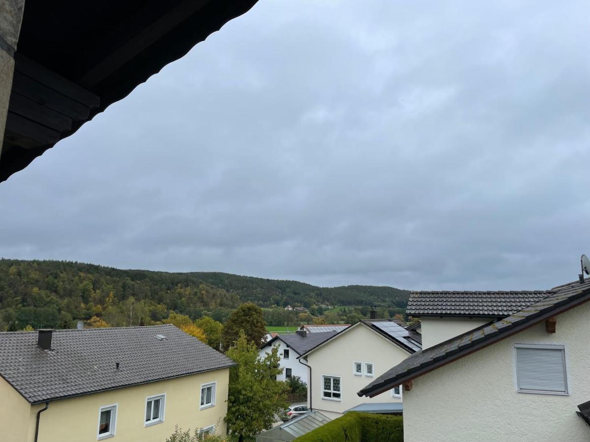 Modernes Apartment Mit Top Ausstattung Und Kamin Im Oberpfaelzer Seenland Nittenau Dış mekan fotoğraf