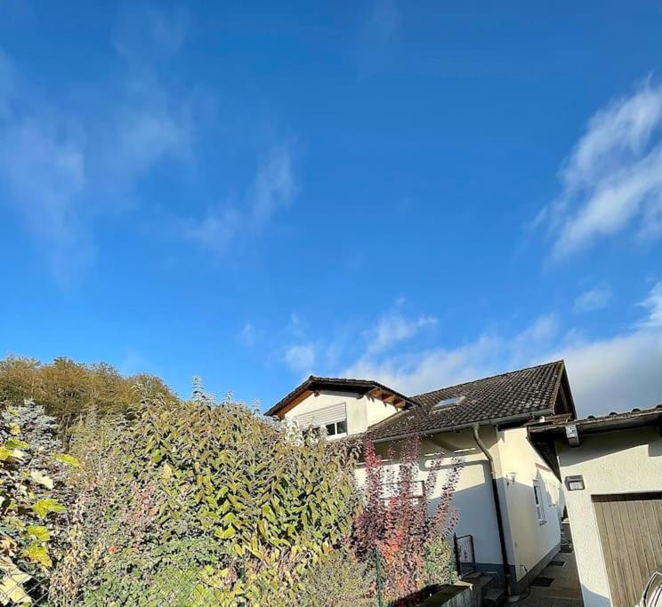 Modernes Apartment Mit Top Ausstattung Und Kamin Im Oberpfaelzer Seenland Nittenau Dış mekan fotoğraf